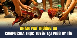 Khám Phá Trường Gà Campuchia Trực Tuyến Tại W88 Uy Tín