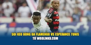 Soi Kèo Bóng Đá Flamengo Vs Esperance Tunis Từ cerneabbas.org