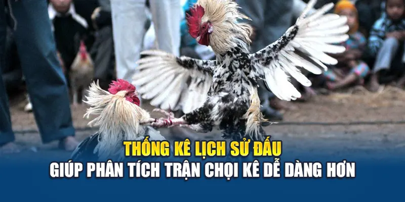 Thống kê lịch sử đấu giúp phân tích trận chọi kê dễ dàng hơn